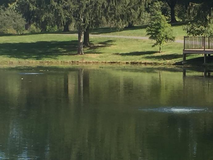 Community Pond with inconspicuous bubbler aerator
