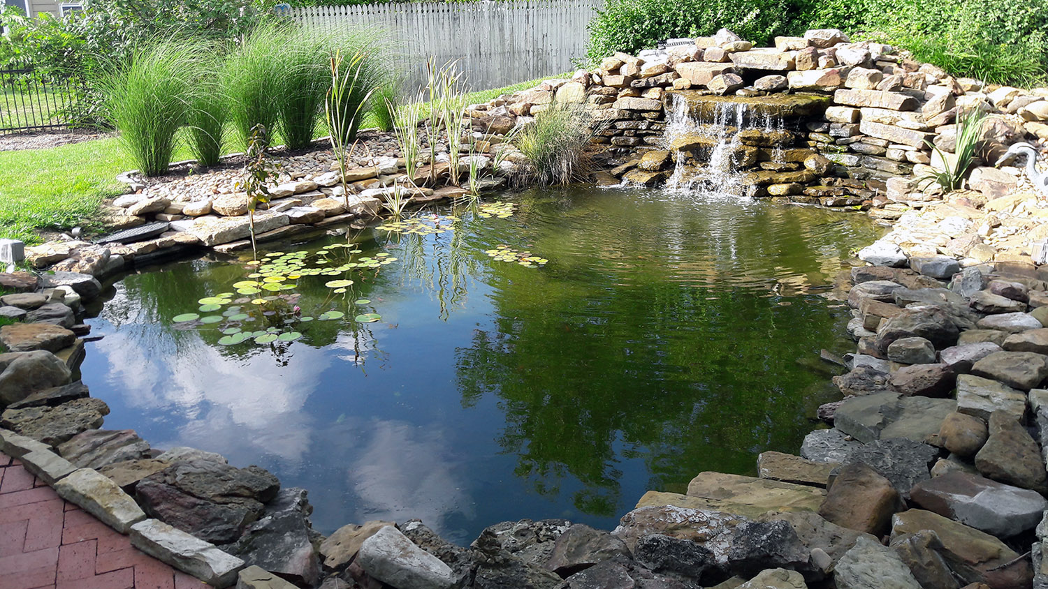 Pond Koi Fountain & Watergarden Buiding Cleaning Maintenance Repair