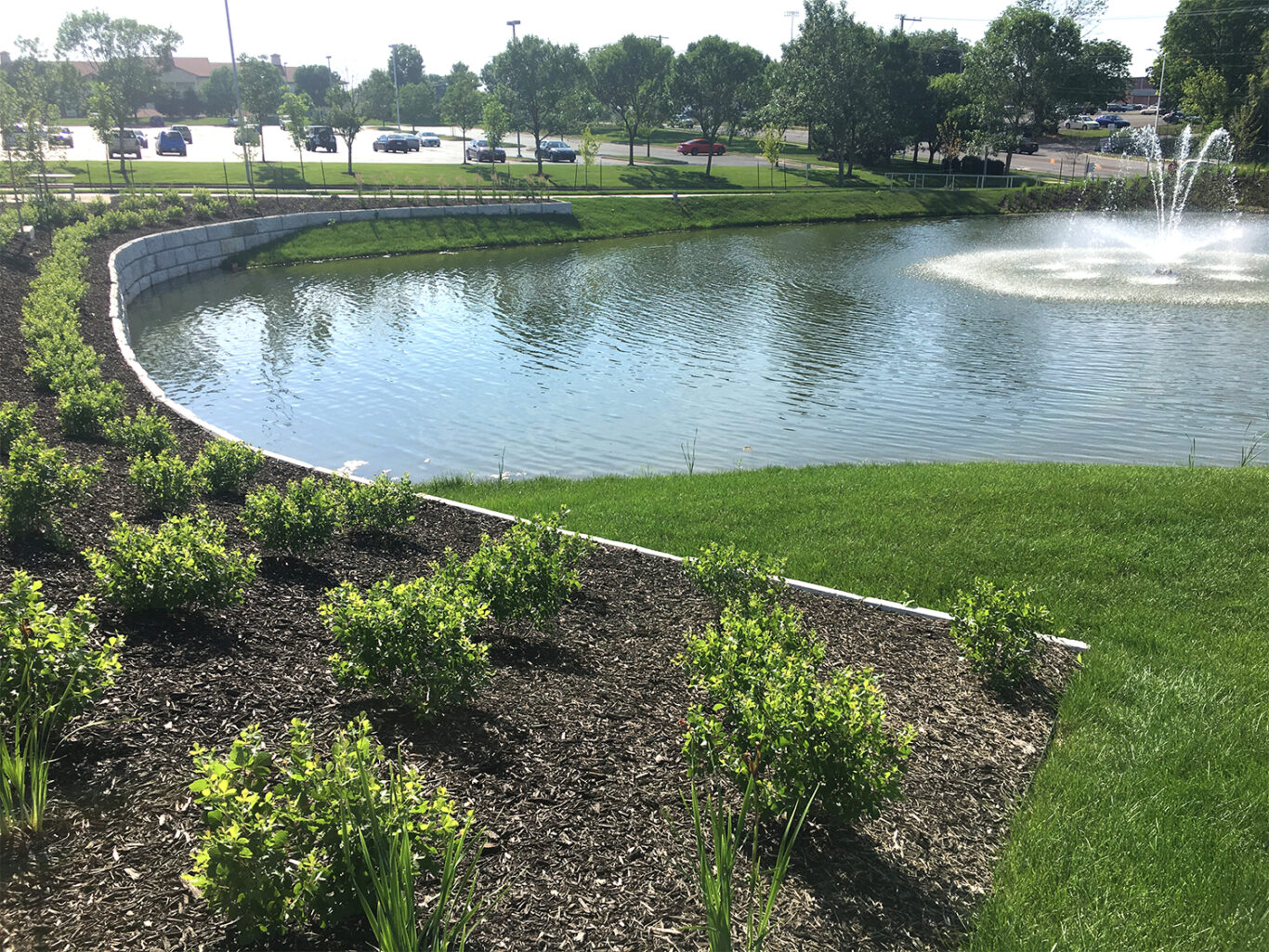 Overland Park Kansas Campus shows Retention pond health