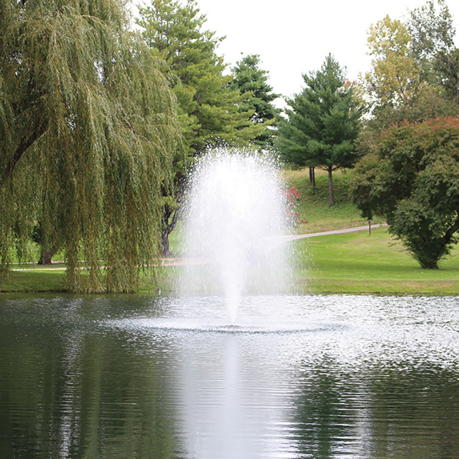 The Kasco's decorative pond fountain "Birch" produces an aeratious geyser of water. However, "Birch" uses a low-volume nozzle with a narrow footprint.