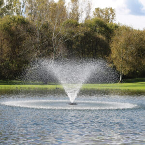 Decorative pond fountains like the Kasco 3400 "Willow" produce a contemporary trumpet shape using a low-volume nozzle.
