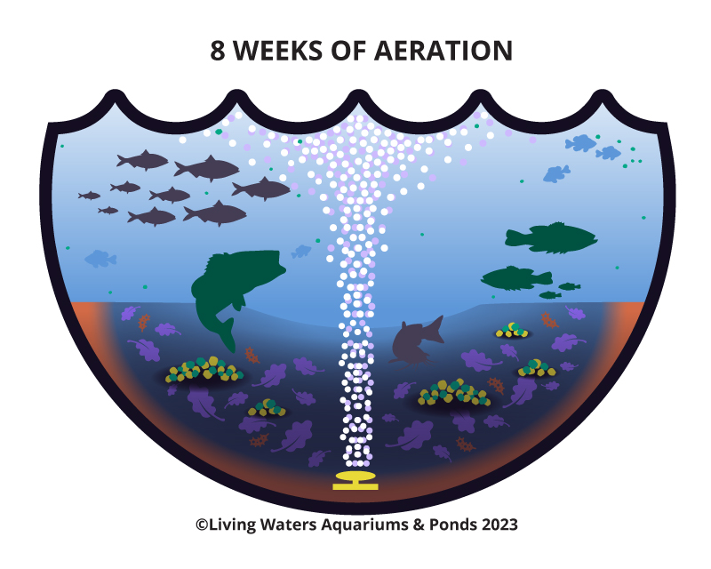 Pond Aeration Aerator Pumps-Improve circulation and kill algae with a ...