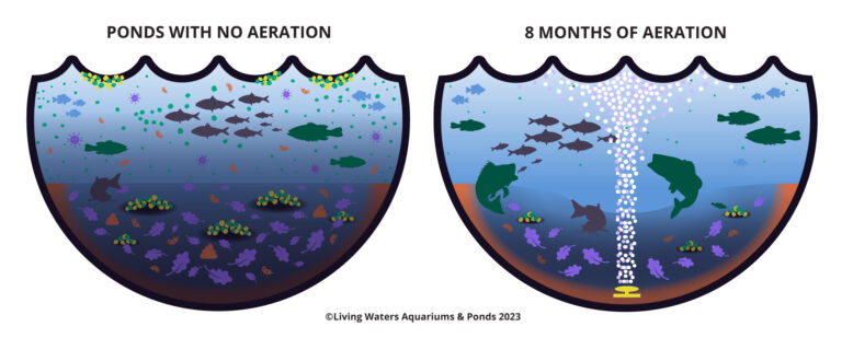 Buyer’s FAQ Guide for Pond Aeration Kits, Subsurface Diffused Aerators & Air Pumps