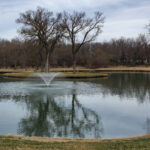 Buyer’s FAQ Guide for Decorative Floating Pond Fountains, Aerating Fountains & Lighting Kits